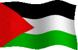 Palestine waving flag